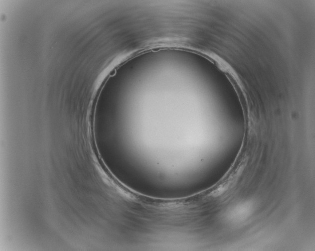 X0000072961341200608041143