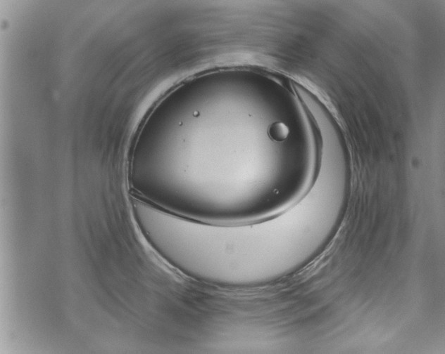 X0000072961342200608041143