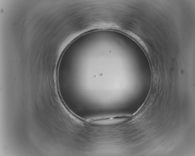 X0000072961343200608041143