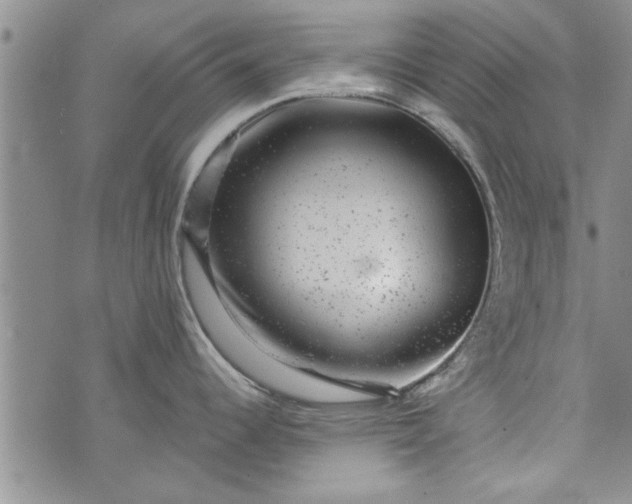 X0000072961344200608041143