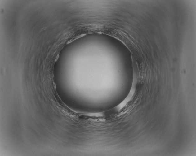 X0000072961345200608041142