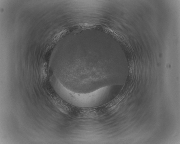 X0000072961346200608041142