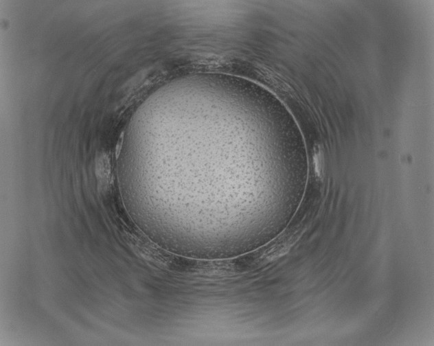 X0000072961347200608041142