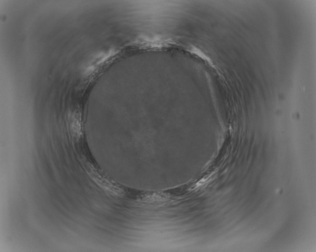 X0000072961348200608041142