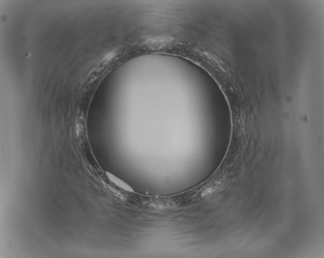 X0000072961349200608041142