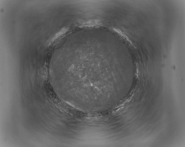 X0000072961350200608041142