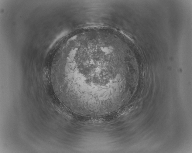 X0000072961351200608041142