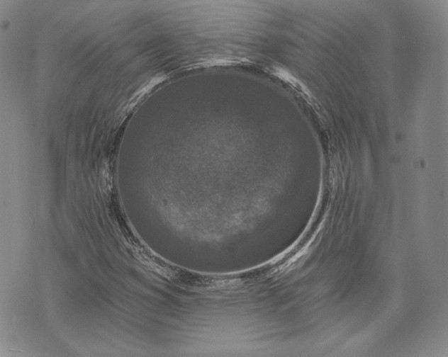 X0000072961353200608041142