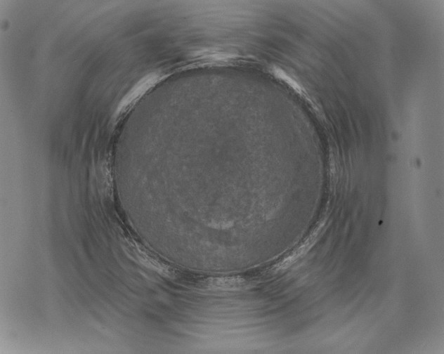 X0000072961354200608041142