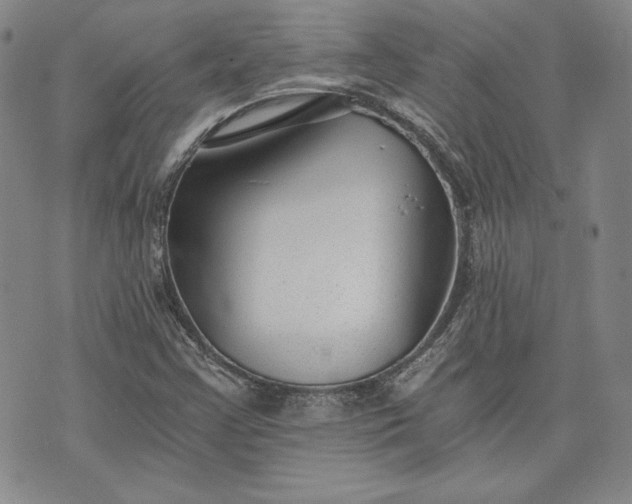 X0000072961355200608041142