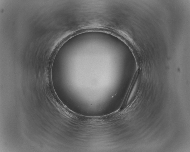 X0000072961356200608041142