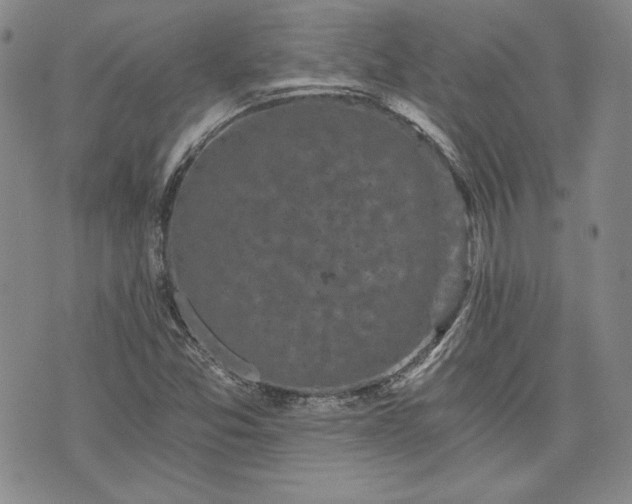 X0000072961357200608041142