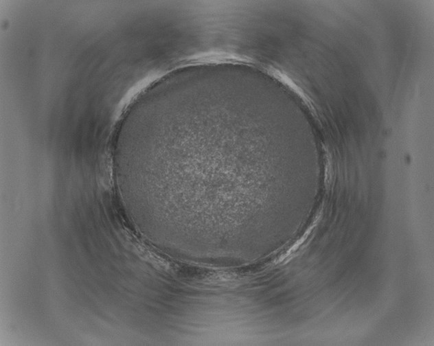 X0000072961358200608041142