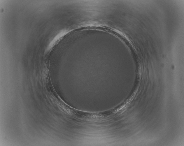 X0000072961359200608041142