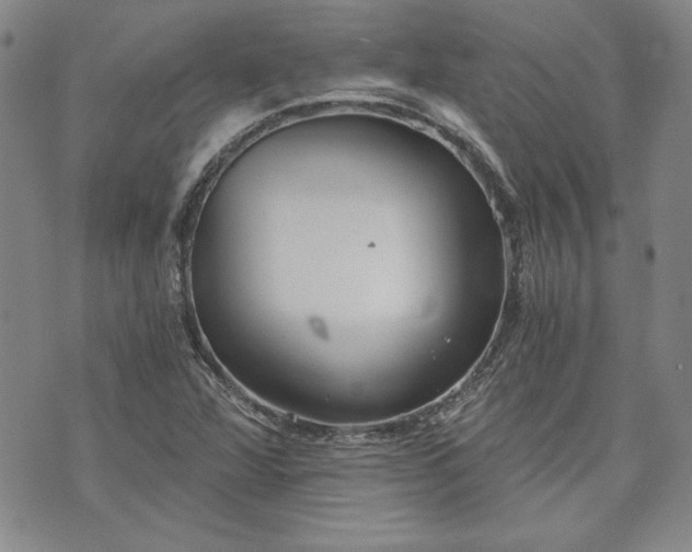 X0000072961360200608041142