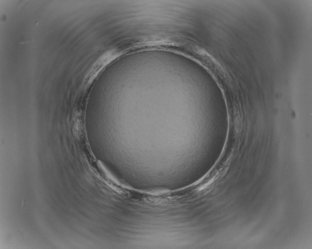 X0000072961361200608041142