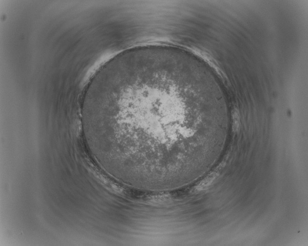 X0000072961363200608041142