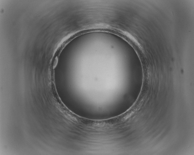 X0000072961364200608041142