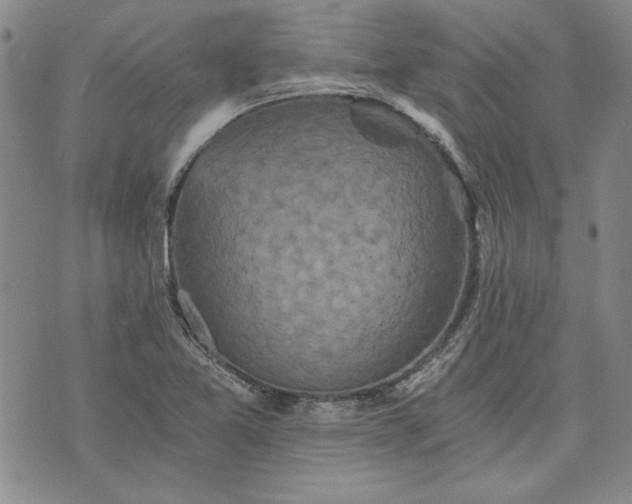 X0000072961365200608041142