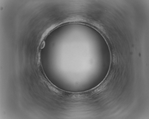 X0000072961366200608041142