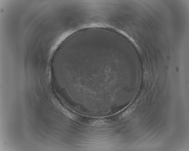 X0000072961367200608041142