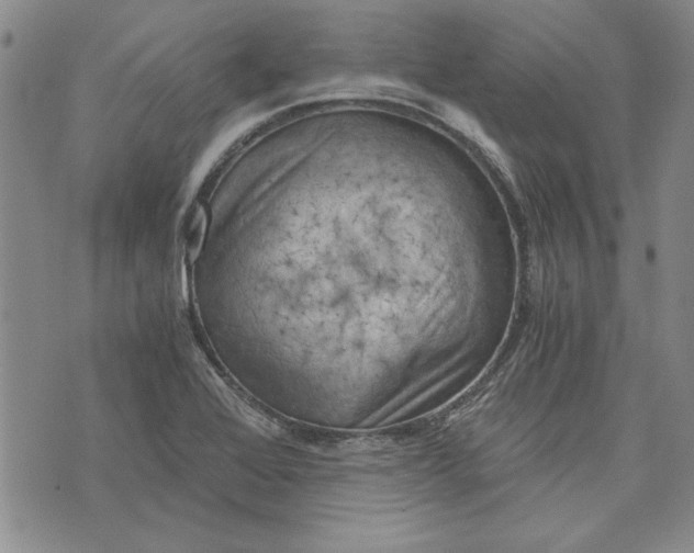 X0000072961368200608041142