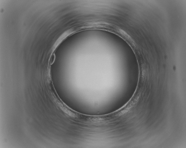 X0000072961370200608041142