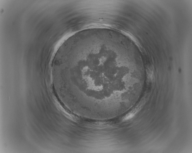 X0000072961371200608041142