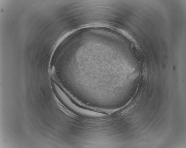 X0000072961372200608041142