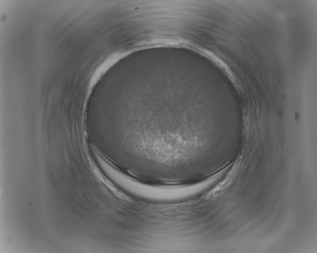 X0000072961373200608041142