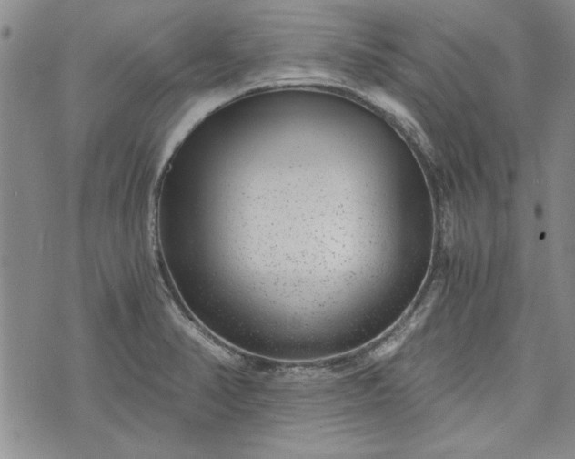 X0000072961374200608041142