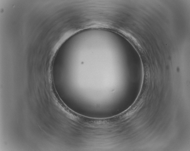 X0000072961375200608041142