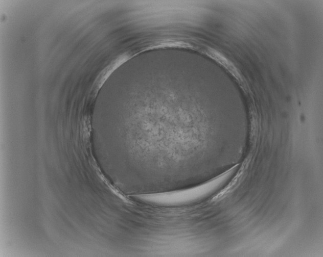 X0000072961377200608041142