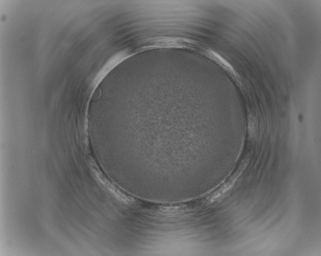 X0000072961378200608041142