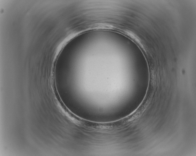 X0000072961379200608041142