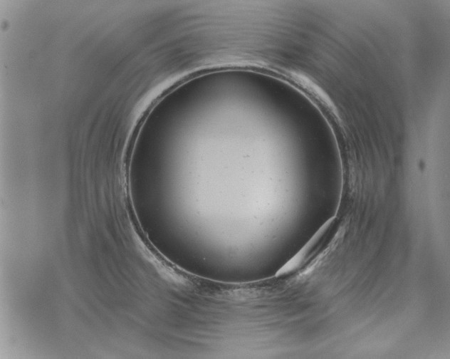 X0000072961380200608041142