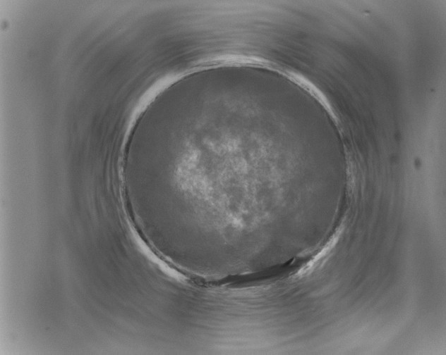 X0000072961381200608041142