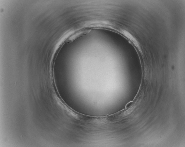 X0000072961384200608041142