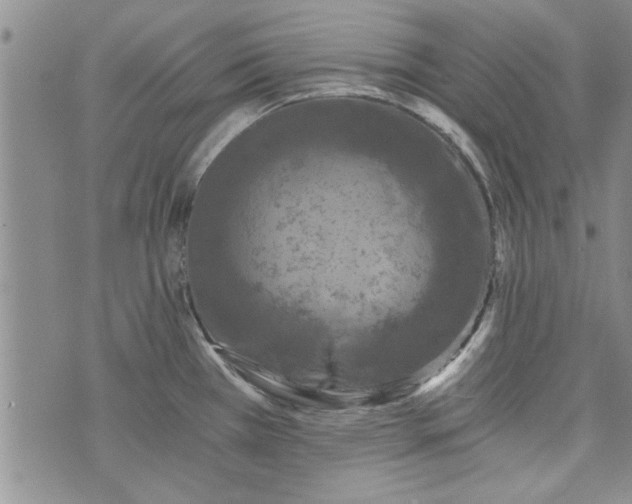 X0000072961385200608041142