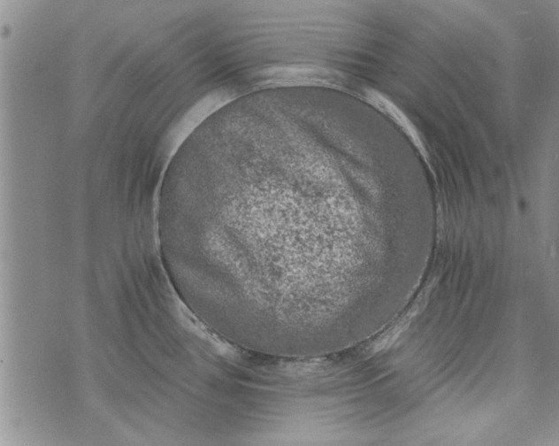 X0000072961386200608041142