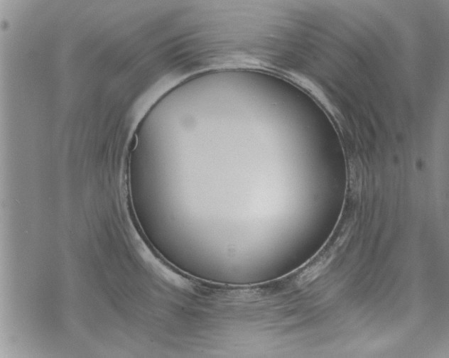 X0000072961387200608041142