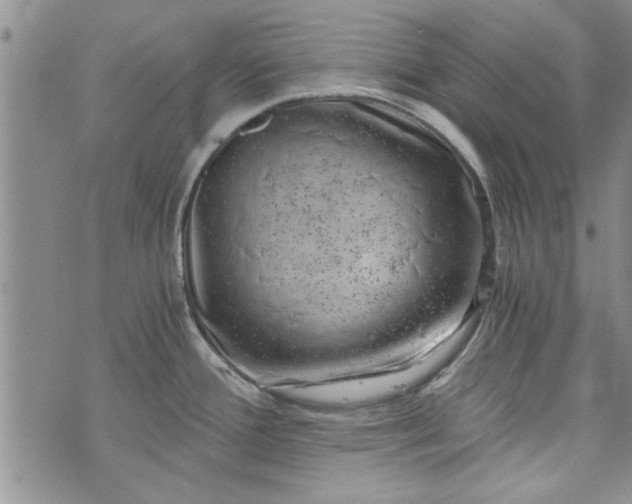 X0000072961388200608041142