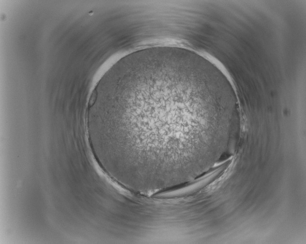 X0000072961389200608041142