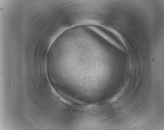 X0000072961390200608041142