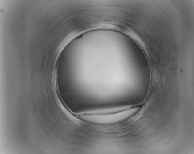 X0000072961391200608041142