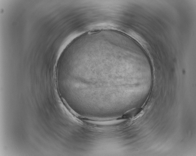 X0000072961392200608041142