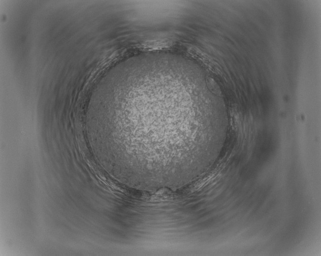 X0000072961393200608041141