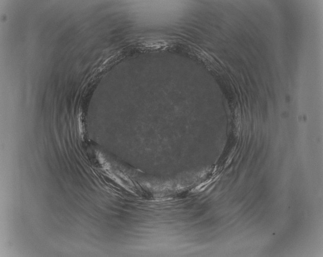 X0000072961394200608041141