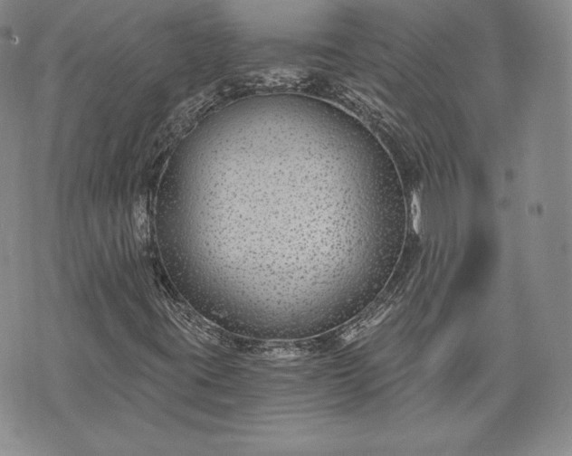 X0000072961395200608041141