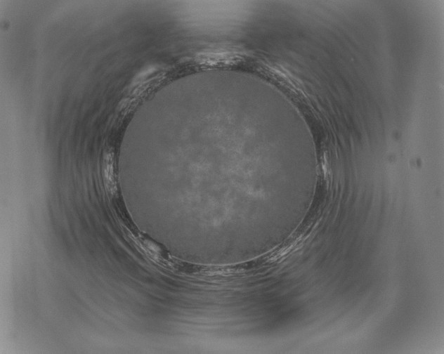 X0000072961396200608041141